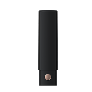 Secret Lipstick Vibrator